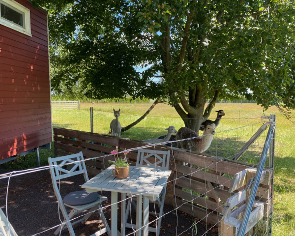 Tiny House Aussenansicht
