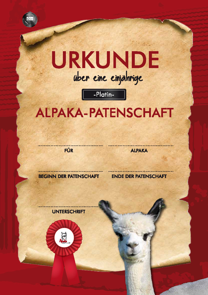 Urkunde Platin