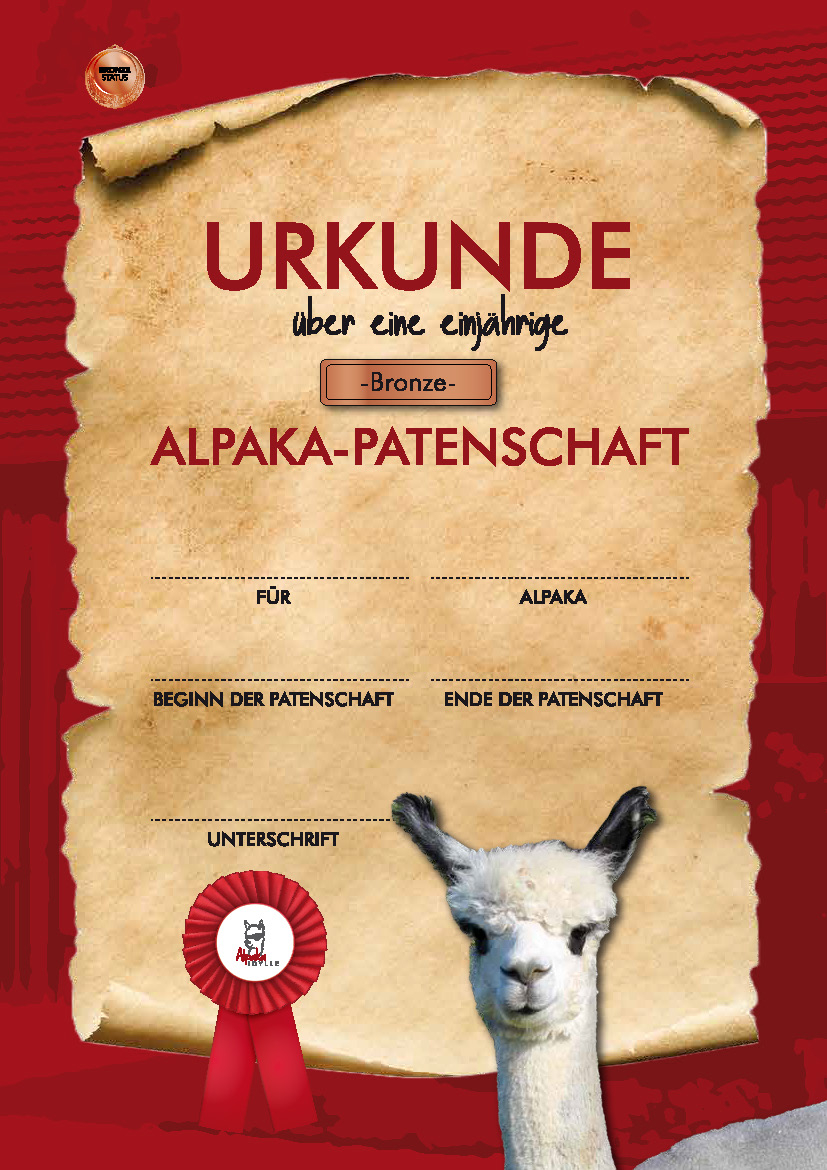 Urkunde Bronze