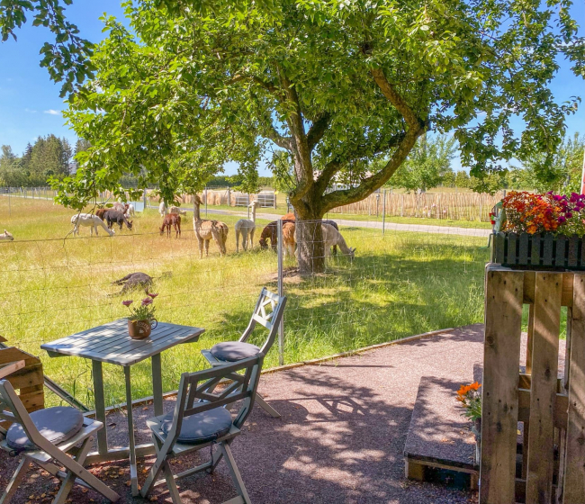 Terrasse mit Aussicht auf Alpaka-Hof