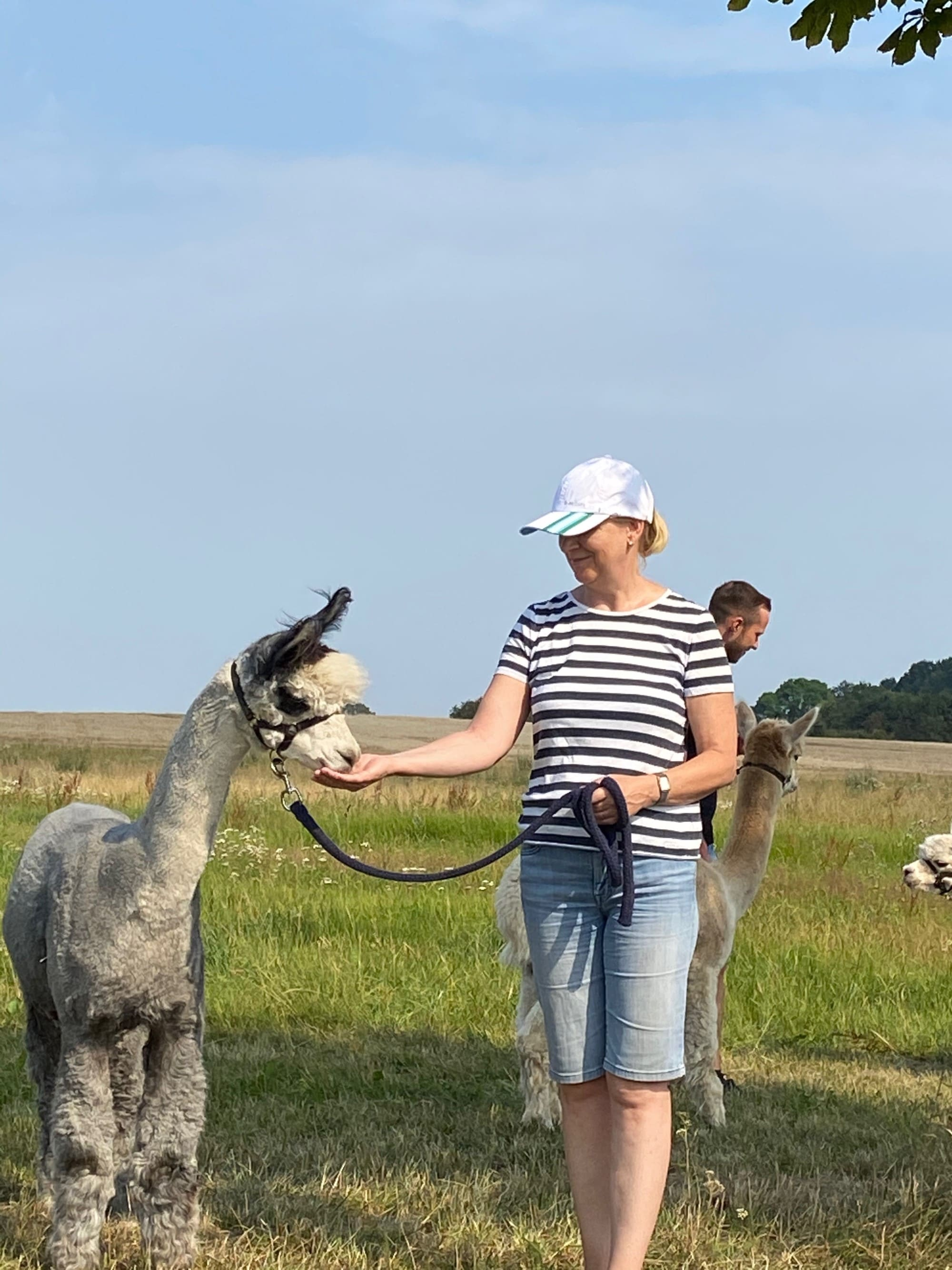 Frau mit Alpaka